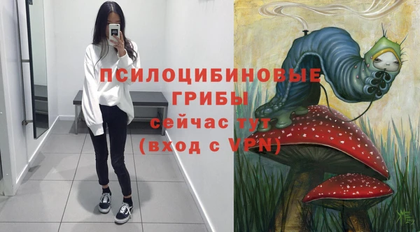 гидра Армянск